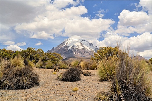 火山,国家公园,安第斯山,玻利维亚