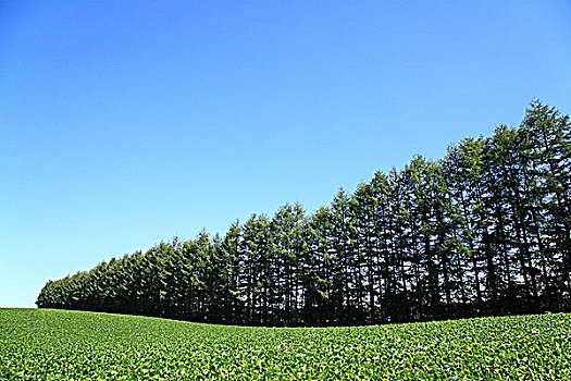 风景