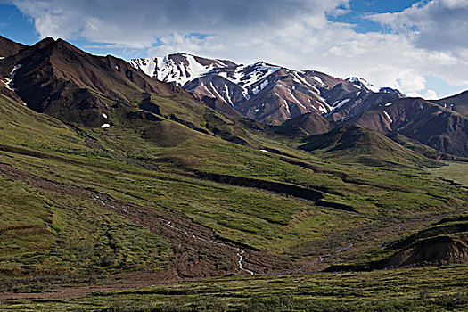 风景,山,德纳里峰国家公园,阿拉斯加,美国