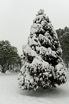 雪中公园景致