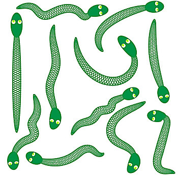 绿色,蛇
