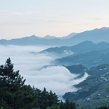 夏季,早晨,重庆,山乡,晨雾