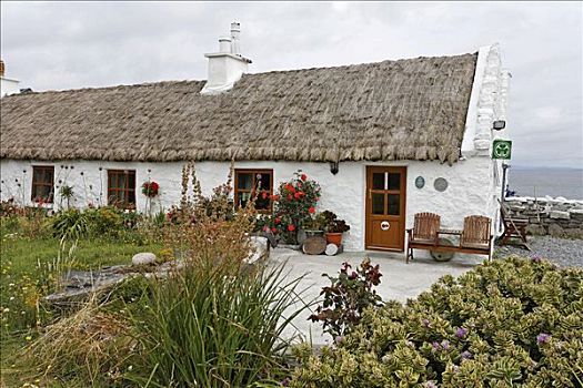 屋舍,特色,稻草,屋顶,阿伦群岛,爱尔兰
