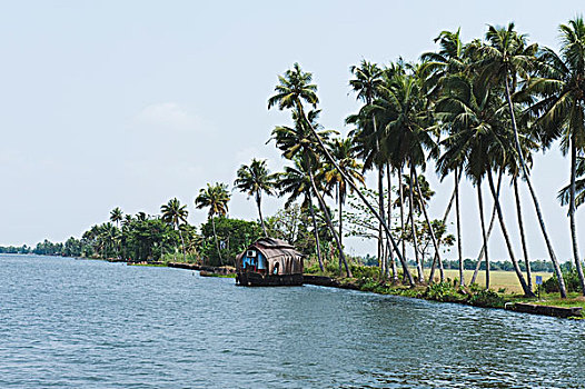 船屋,泻湖,地区,喀拉拉,印度