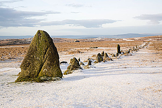 石头,排,雪地,达特姆尔高原,德文郡,英格兰