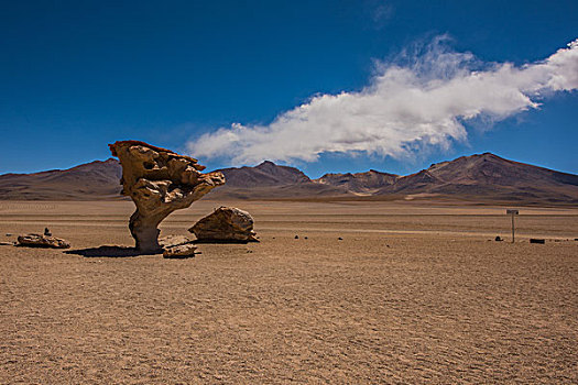 玻利维亚乌尤尼石头树