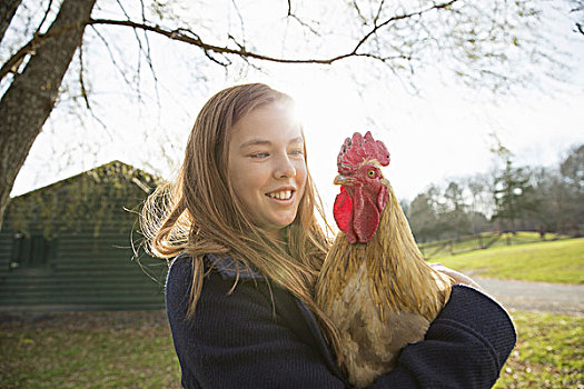 动物,女孩,拿着,鸡,褐色,羽毛,红色