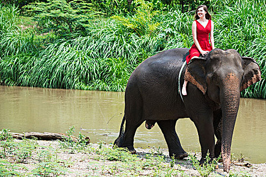 女孩,骑,大象,清迈,泰国