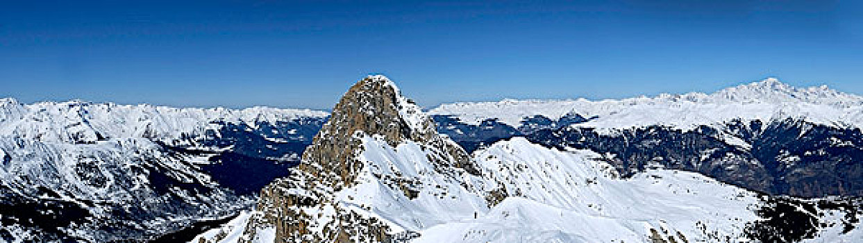 阿尔卑斯山,全景