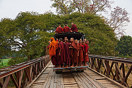 僧侣,交通工具,缅甸,亚洲