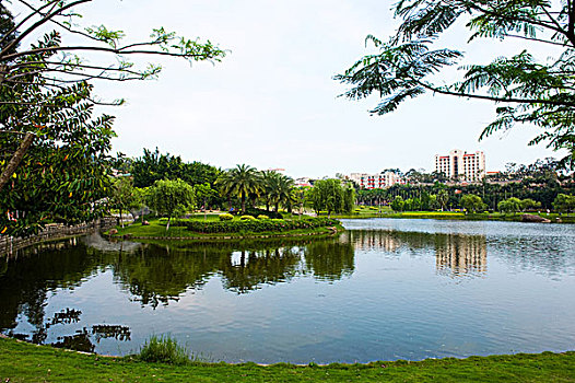 漂亮,湖,风景,大学