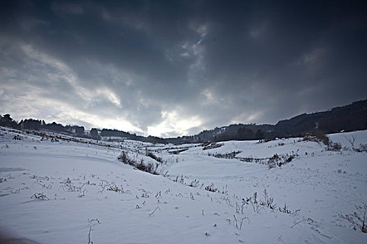 雪乡,雪村,吉林,临江市,村庄,山村,乡村,冬季,雪野,寒冷,农家,接待,旅游,松岭,东北,风情