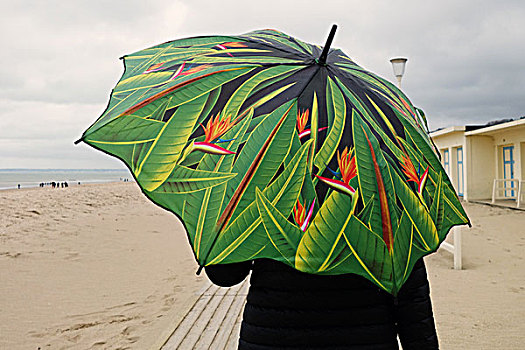 人,伞,海滩