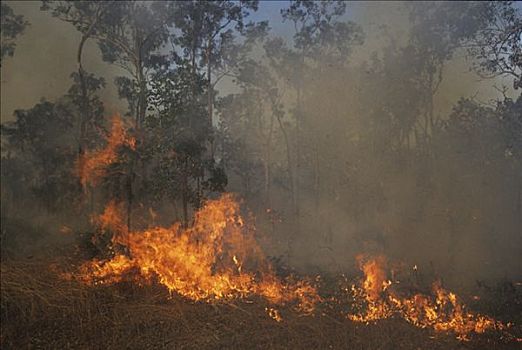 火,卡卡杜国家公园,北领地州,澳大利亚