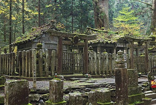 墓地,高野山,日本