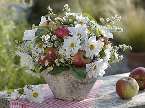 白色,夏末,花束,苹果,雏菊