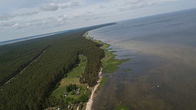 拉脱维亚,航拍,乡村,俯视