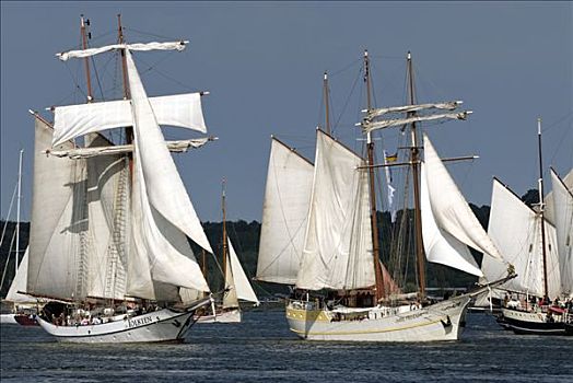 历史,帆船,基尔,峡湾,星期,2008年,石荷州,德国,欧洲