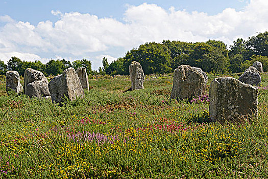 卡赫纳,石头,竖石纪念物,靠近,莫尔比昂省,布列塔尼半岛,法国,欧洲
