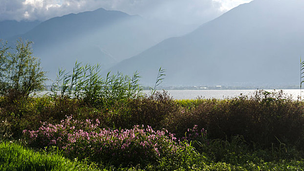 云南大理喜洲海舌公园风光小景