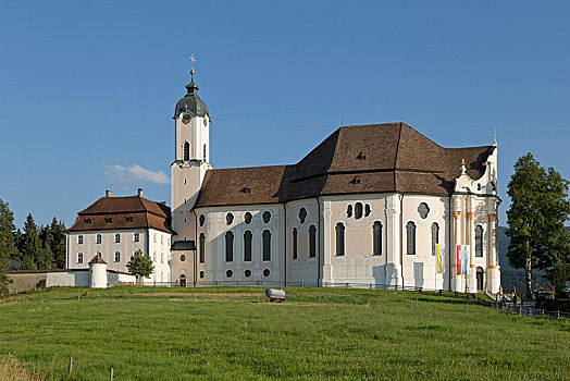 朝圣教堂,维斯,靠近,巴伐利亚,德国,欧洲