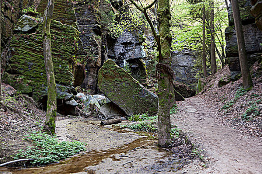 石头,拱形,徒步旅行,靠近,萨克森,德国,欧洲