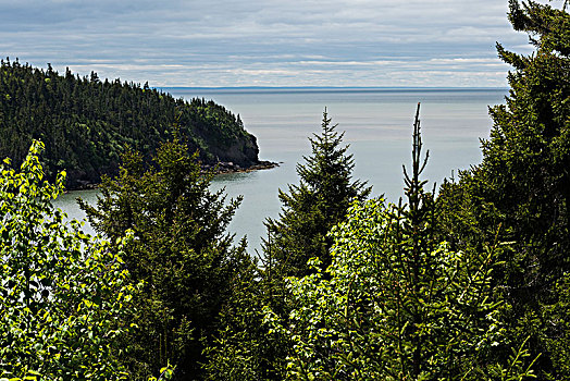 风景,芬地湾国家公园,芬地湾,新布兰斯维克,加拿大