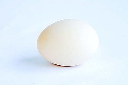 一只鸡蛋,鸡蛋,摄影棚拍