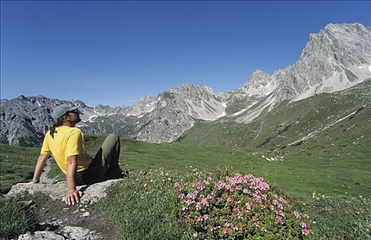 远足者,坐,靠近,高山,玫瑰,看,山景,阿尔卑斯山,提洛尔,奥地利,欧洲