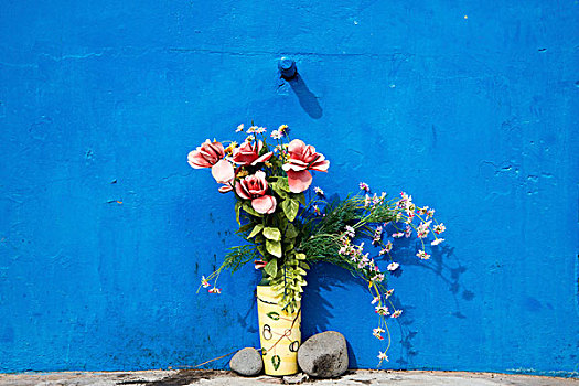 塑料制品,花,正面,蓝色,墙