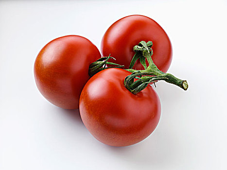 西红柿茎,白色