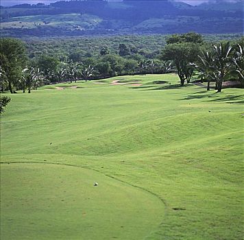 夏威夷,毛伊岛,麦肯那高尔夫俱乐部,绿色,高尔夫球道