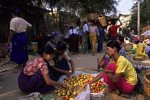缅甸,异教,市场一景,西红柿