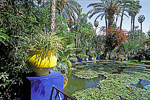 摩洛哥,玛拉喀什,马若雷尔花园
