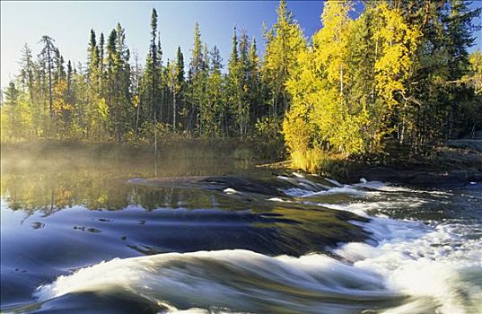 瀑布,色彩,树,河,加拿大西北地区,加拿大