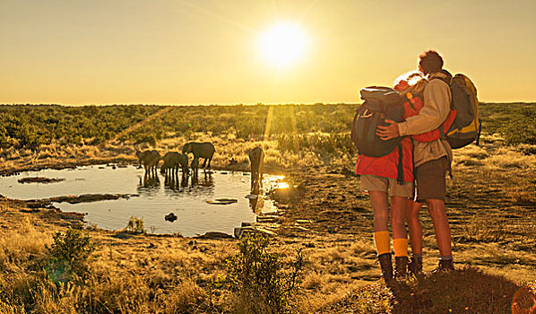 情侣,看,大象,水潭,日落,埃托沙国家公园,纳米比亚