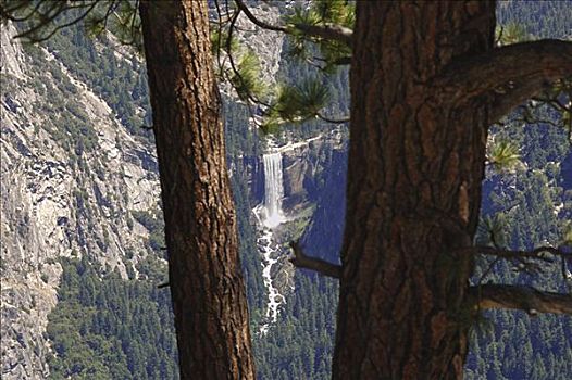春天,瀑布,树,优胜美地国家公园,加利福尼亚,美国