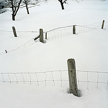雪,栏杆