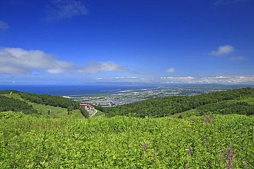 湾,新,港口,山