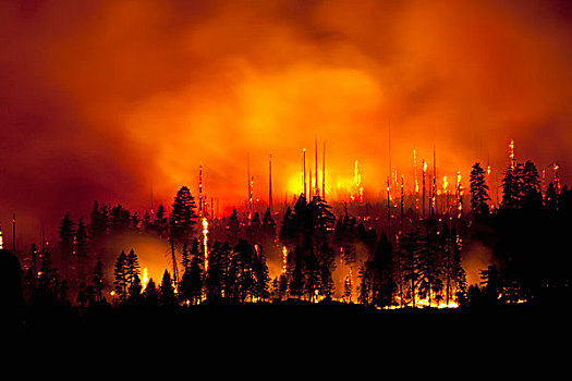 森林火灾,火焰,优胜美地国家公园,美国
