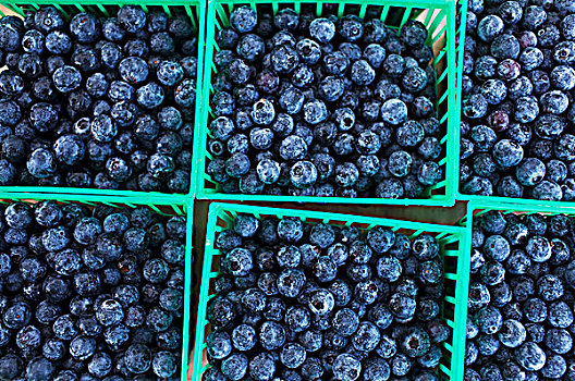 塑料罐,新鲜,蓝莓,市场