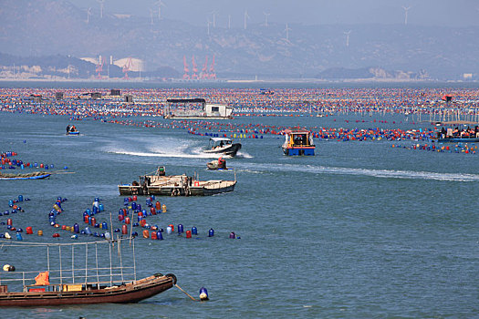 广东汕头,春季海洋养殖忙碌生产
