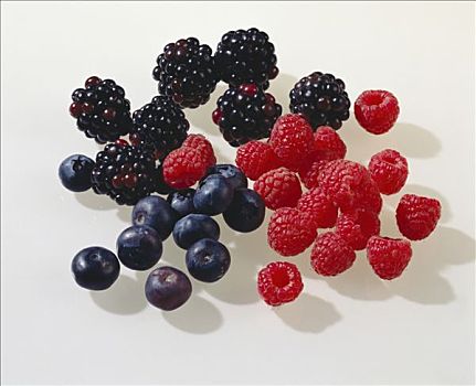 蓝莓,树莓,黑莓