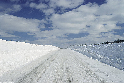 道路,冬天