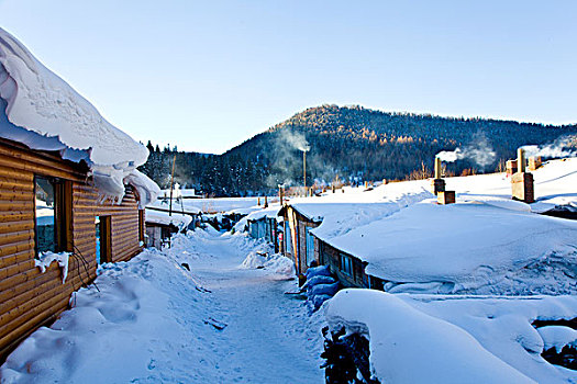 雪乡,双峰林场,村庄,风景,白天,黑龙江,牡丹江