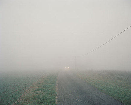 汽车,前灯,出现,浓厚,雾
