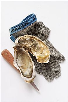 牡蛎,牡蛎刀,手套