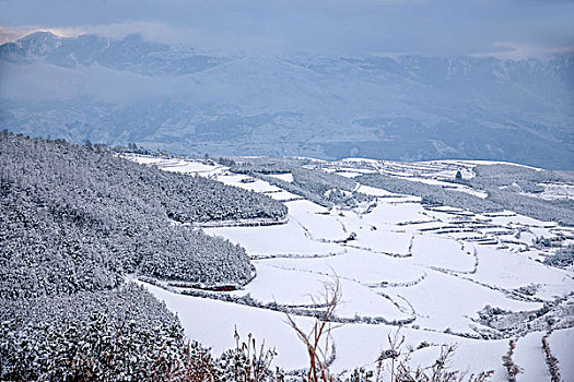 云南东川红土地雪原