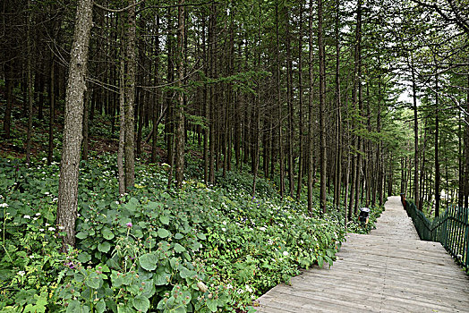 河北省石家庄市平山县驼梁风景区