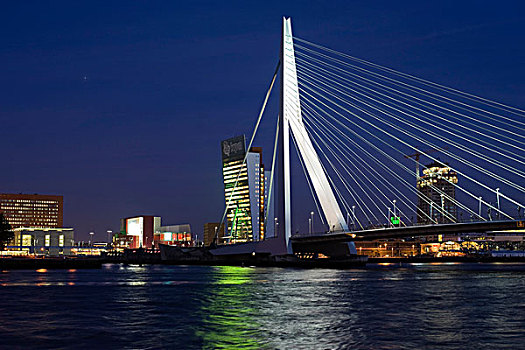 桥,地区,河,鹿特丹,荷兰南部,荷兰,欧洲